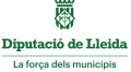 DLL-força_municipis-1024x568